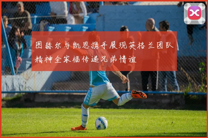 图赫尔与凯恩携手展现英格兰团队精神全家福传递兄弟情谊